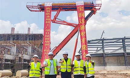 BRD rock wool panel project in Malaysia